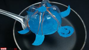 Plastic Bottle Turtle